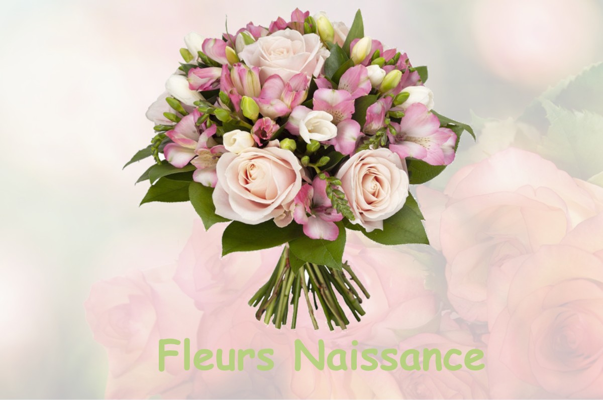 fleurs naissance PORT-LESNEY