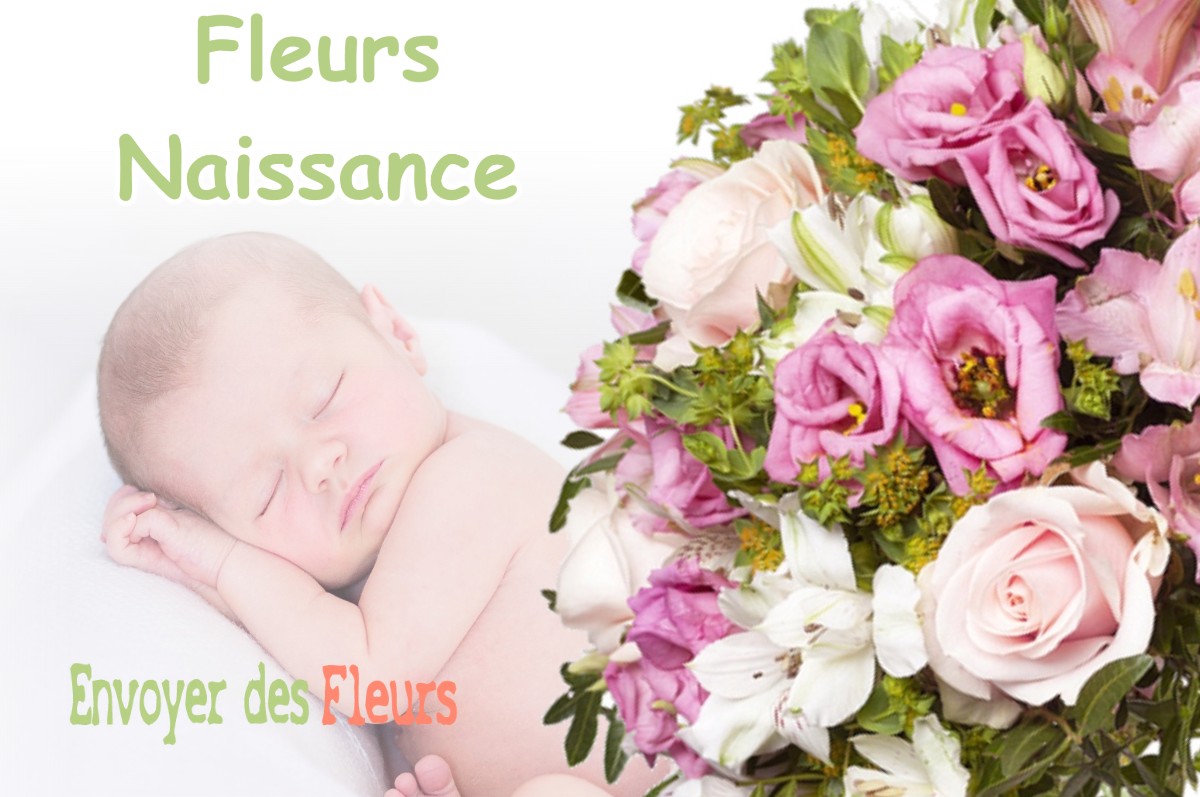 lIVRAISON FLEURS NAISSANCE à PORT-LESNEY