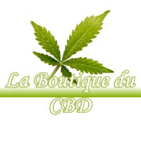 LA BOUTIQUE DU CBD PORT-LESNEY 